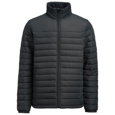 Arches Men's Padded Jacket Thumbnail